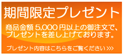 プレゼントロゴ1